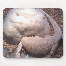 Ostrich lizard mouse pad