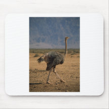 Ostrich Mouse Pad