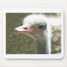 ostrich mouse pads