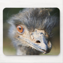 Ostrich Mouse Pads