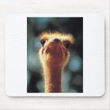 Ostrich Mouse Pads