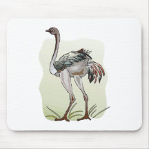Ostrich Mousepad