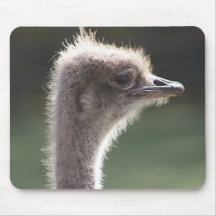 Ostrich Mousepad