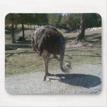 Ostrich Mousepad