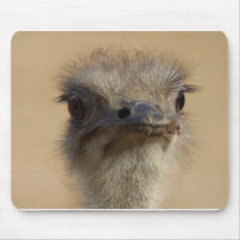 Ostrich Mousepads