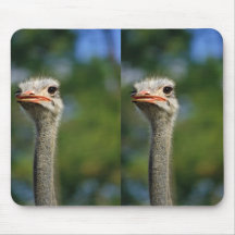 Ostrich Mousepads