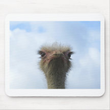 Ostrich Portrait Mousepad