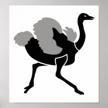 Ostrich Poster