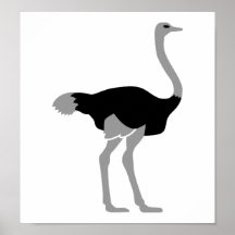 Ostrich Poster