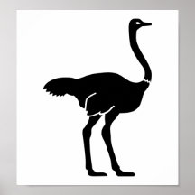 Ostrich Poster