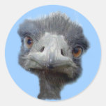 Ostrich Round Stickers