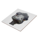 Ostrich Tile (2) sizes