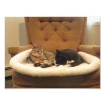 Otis&Oliver Photo
