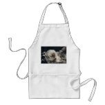 Otter Apron