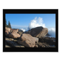 Otter Point Print - 1 Art Photo