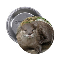 Otter Resting Button