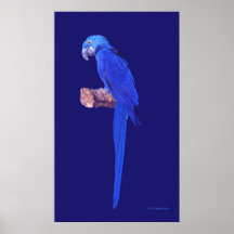 Out Of The Blue Posters