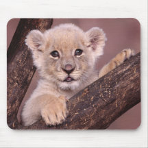 Out On A Limb Mousepad