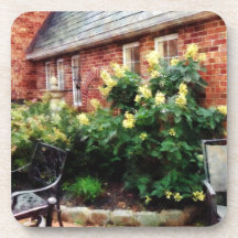 Outdoor Cafe With Hydrangea Coaster