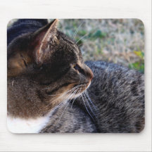 Outside Cat Mousepad
