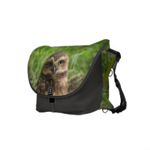 OWL COURIER BAG