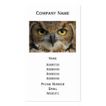 Owl Eyes Business Card