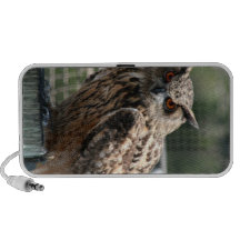 Owl looking head on portable speakers