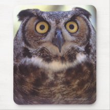 Owl Mousemat