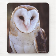 owl mousemat