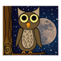 owl photo