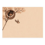Owl Post Cards