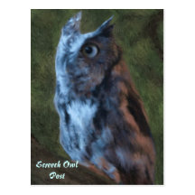 Owl Postcard