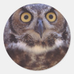 owl round stickers