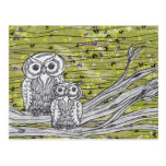 Owls and Butterflies Post Card