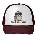 Owls are cool! hat