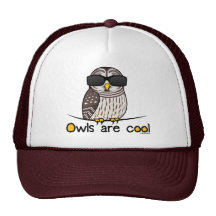 Owls are cool! hat