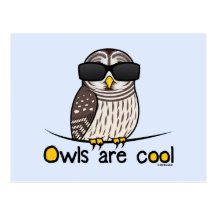 Owls are cool post cards