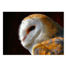 OWLS BUSINESS CARD