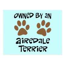 Owned By An Airedale Terrier Postcards