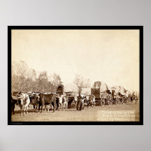 Oxen Freighting In the Black Hills SD 1887 Posters