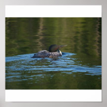 P7202729 PRINT
