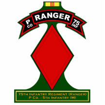 P Co, 75th Infantry Regiment - Rangers, Vietnam Acrylic Cut Out