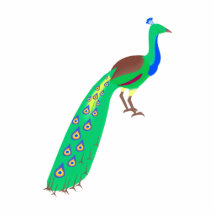 Paavo Peacock Acrylic Cut Out