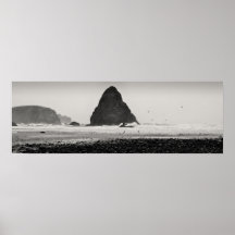 Pacific Whitewash Poster