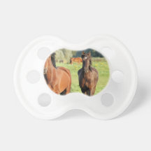 Pacifier QPC Template - Customised