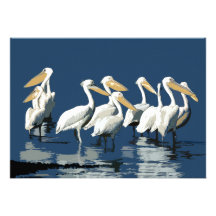 Pack of Pelicans in the Water Personalised Invites