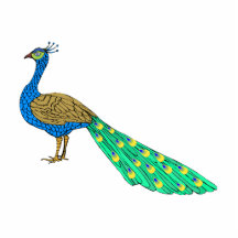 Packer Peacock Cut Outs