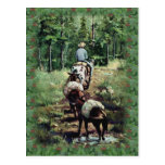 PACKING & FIR BOUGHS by SHARON SHARPE Post Card