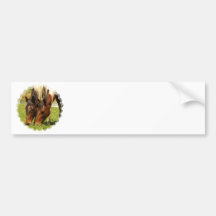 Paint Horse Love  Bumper Sticker