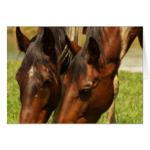 Paint Horse Love  Greeting Card